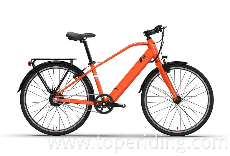 Electric City Bike Lc01